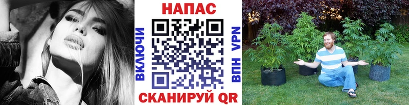 Наркотические вещества Семикаракорск COCAIN А ПВП ГАШИШ