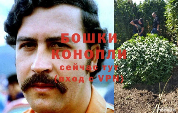 дурь Армянск