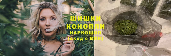 spice Покачи